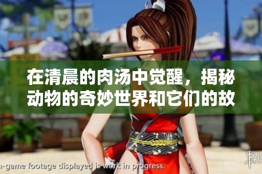 在清晨的肉汤中觉醒，揭秘动物的奇妙世界和它们的故事