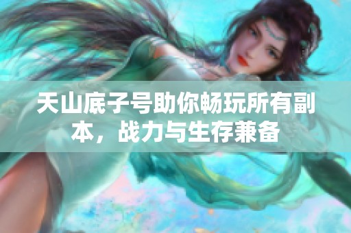 天山底子号助你畅玩所有副本，战力与生存兼备