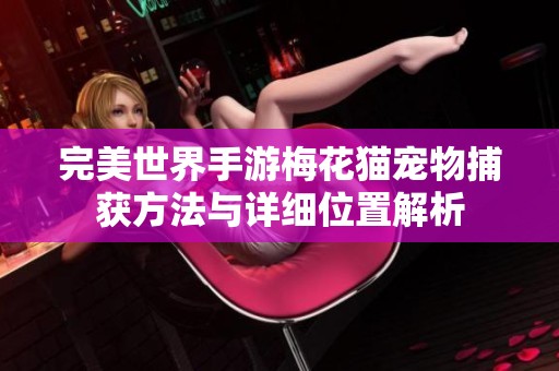 完美世界手游梅花猫宠物捕获方法与详细位置解析