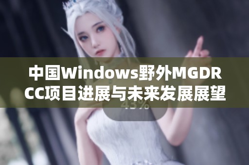 中国Windows野外MGDRCC项目进展与未来发展展望