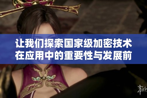 让我们探索国家级加密技术在应用中的重要性与发展前景