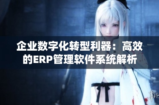 企业数字化转型利器：高效的ERP管理软件系统解析