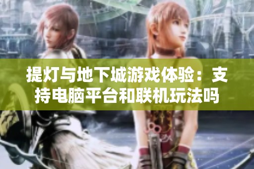 提灯与地下城游戏体验：支持电脑平台和联机玩法吗