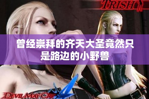 曾经崇拜的齐天大圣竟然只是路边的小野兽