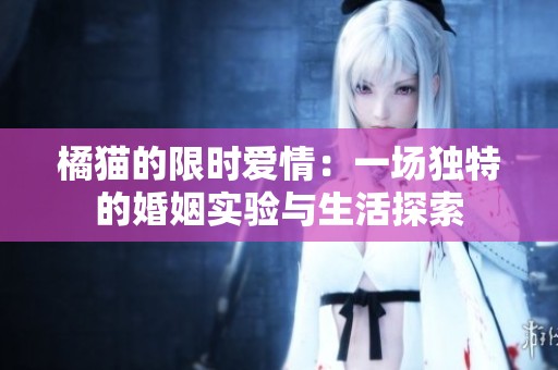 橘猫的限时爱情：一场独特的婚姻实验与生活探索