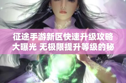 征途手游新区快速升级攻略大曝光 无极限提升等级的秘密技巧分享