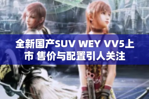 全新国产SUV WEY VV5上市 售价与配置引人关注