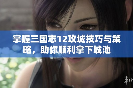 掌握三国志12攻城技巧与策略，助你顺利拿下城池
