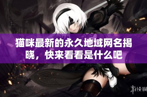 猫咪最新的永久地域网名揭晓，快来看看是什么吧