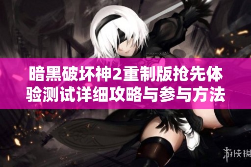 暗黑破坏神2重制版抢先体验测试详细攻略与参与方法揭秘