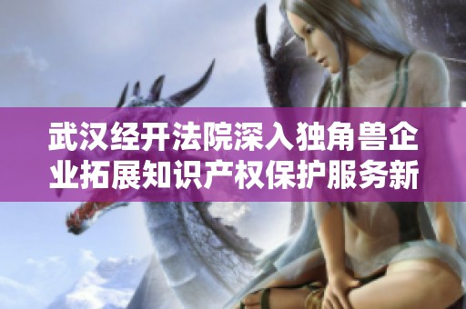 武汉经开法院深入独角兽企业拓展知识产权保护服务新策略