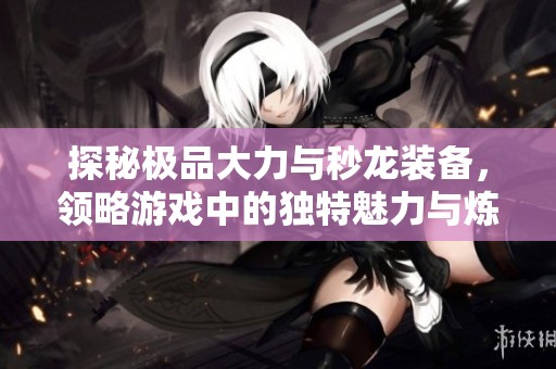 探秘极品大力与秒龙装备，领略游戏中的独特魅力与炼化精彩