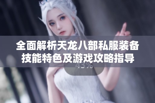 全面解析天龙八部私服装备技能特色及游戏攻略指导