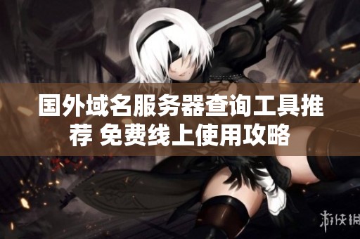 国外域名服务器查询工具推荐 免费线上使用攻略