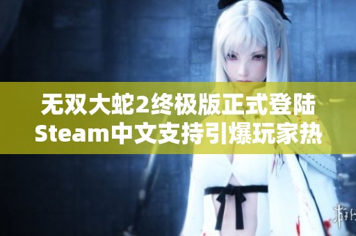 无双大蛇2终极版正式登陆Steam中文支持引爆玩家热情
