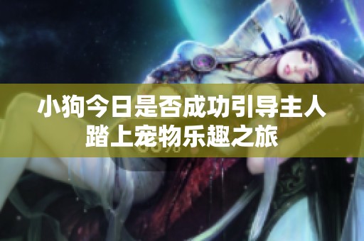 小狗今日是否成功引导主人踏上宠物乐趣之旅