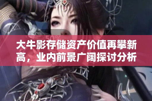 大牛影存储资产价值再攀新高，业内前景广阔探讨分析