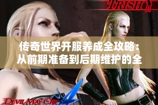 传奇世界开服养成全攻略：从前期准备到后期维护的全面指南