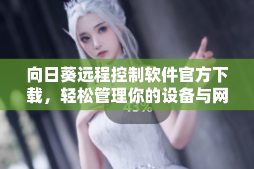 向日葵远程控制软件官方下载，轻松管理你的设备与网络
