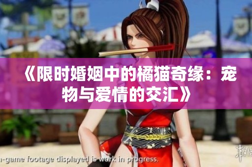 《限时婚姻中的橘猫奇缘：宠物与爱情的交汇》
