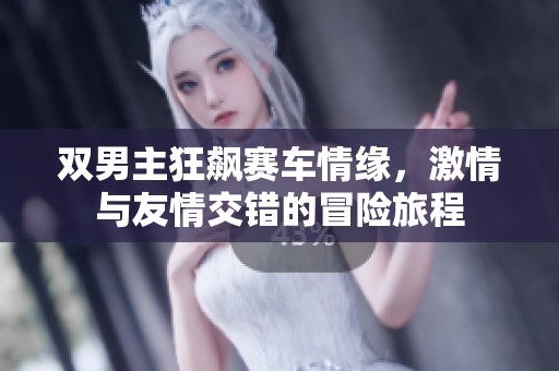 双男主狂飙赛车情缘，激情与友情交错的冒险旅程