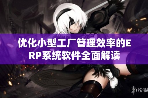 优化小型工厂管理效率的ERP系统软件全面解读