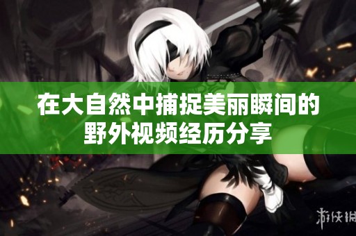 在大自然中捕捉美丽瞬间的野外视频经历分享