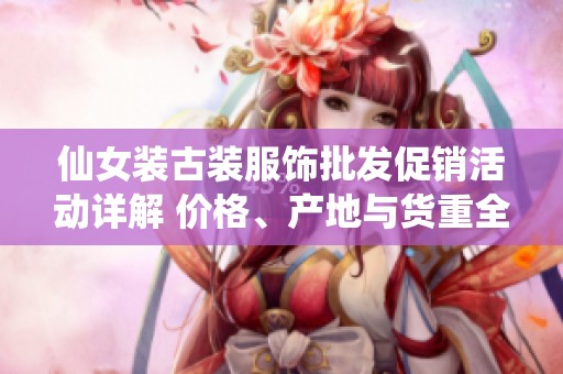 仙女装古装服饰批发促销活动详解 价格、产地与货重全解析