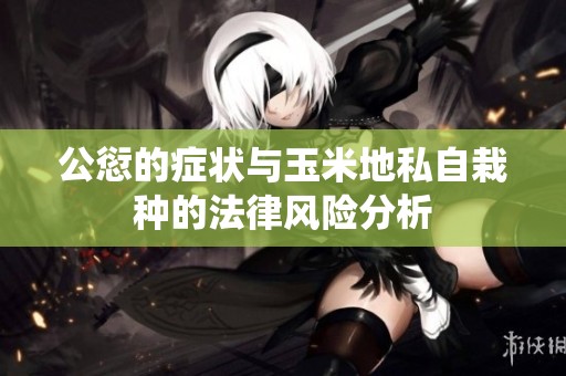 公愆的症状与玉米地私自栽种的法律风险分析