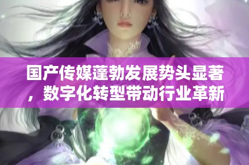 国产传媒蓬勃发展势头显著，数字化转型带动行业革新