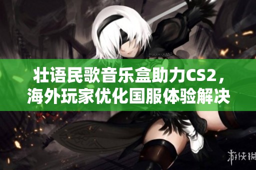 壮语民歌音乐盒助力CS2，海外玩家优化国服体验解决延迟和卡顿问题