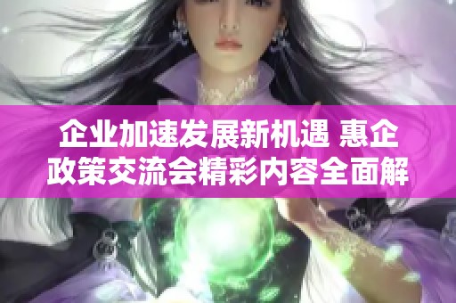 企业加速发展新机遇 惠企政策交流会精彩内容全面解读与分享