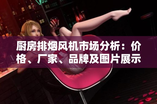 厨房排烟风机市场分析：价格、厂家、品牌及图片展示全面指南