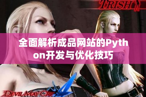 全面解析成品网站的Python开发与优化技巧