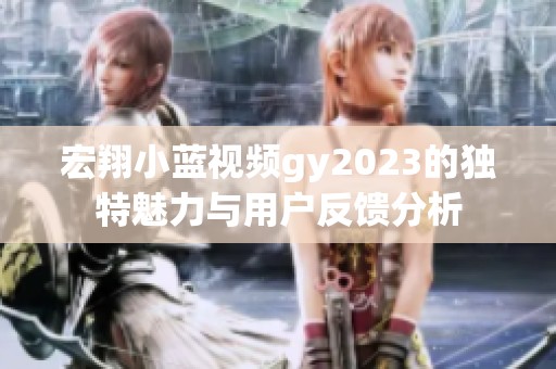 宏翔小蓝视频gy2023的独特魅力与用户反馈分析