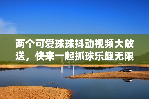 两个可爱球球抖动视频大放送，快来一起抓球乐趣无限