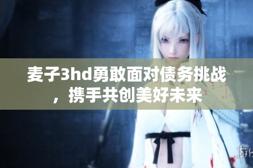 麦子3hd勇敢面对债务挑战，携手共创美好未来
