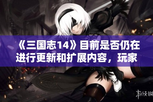 《三国志14》目前是否仍在进行更新和扩展内容，玩家如何看待其未来发展