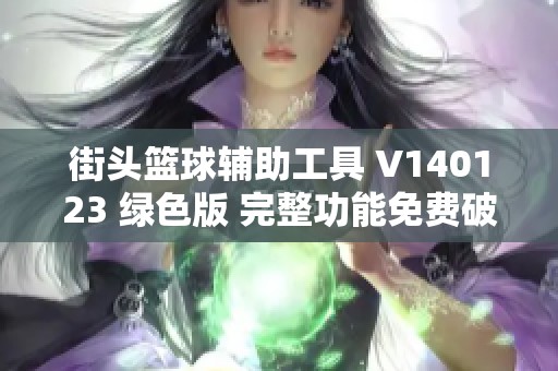 街头篮球辅助工具 V140123 绿色版 完整功能免费破解软件下载指南