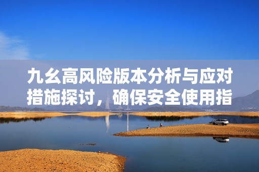 九幺高风险版本分析与应对措施探讨，确保安全使用指南