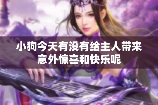 小狗今天有没有给主人带来意外惊喜和快乐呢