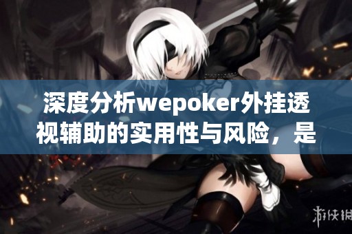深度分析wepoker外挂透视辅助的实用性与风险，是否值得使用的全面探讨