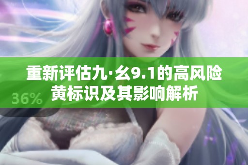 重新评估九·幺9.1的高风险黄标识及其影响解析