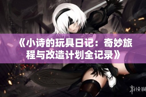 《小诗的玩具日记：奇妙旅程与改造计划全记录》
