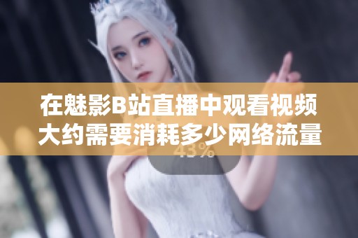 在魅影B站直播中观看视频大约需要消耗多少网络流量呢
