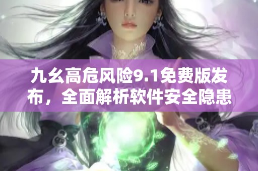 九幺高危风险9.1免费版发布，全面解析软件安全隐患
