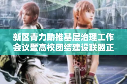 新区青力助推基层治理工作会议暨高校团结建设联盟正式成立仪式圆满举行