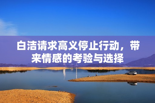 白洁请求高义停止行动，带来情感的考验与选择
