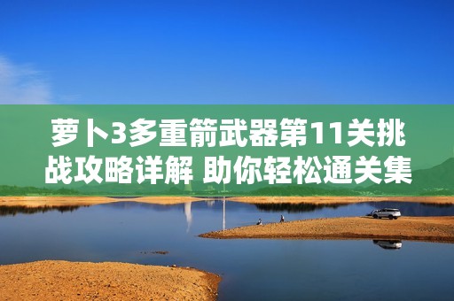 萝卜3多重箭武器第11关挑战攻略详解 助你轻松通关集市关卡技巧解析