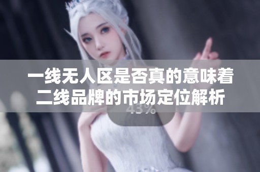 一线无人区是否真的意味着二线品牌的市场定位解析